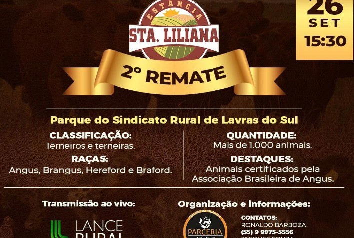2° Remate de Terneiros Angus Certificados colocará em pista mil animais