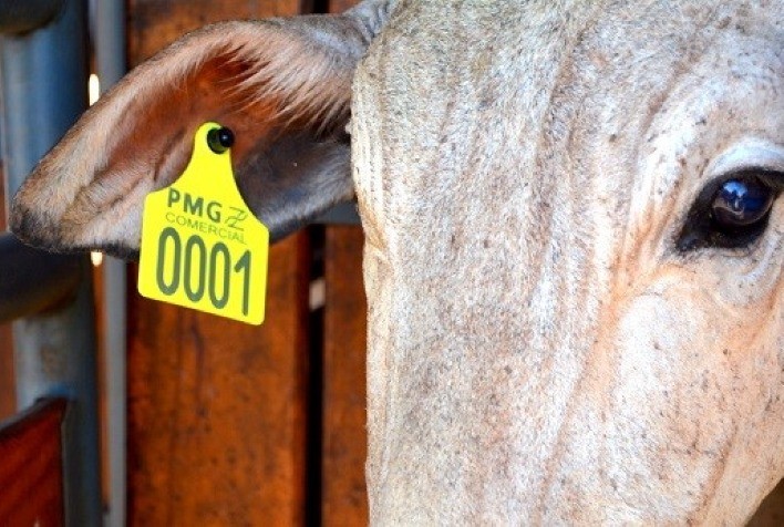 Novos criatórios aderem ao PMGZ Comercial