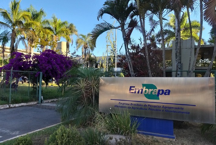 Embrapa é citada como modelo de gestão por instituição de pesquisa norte-americana