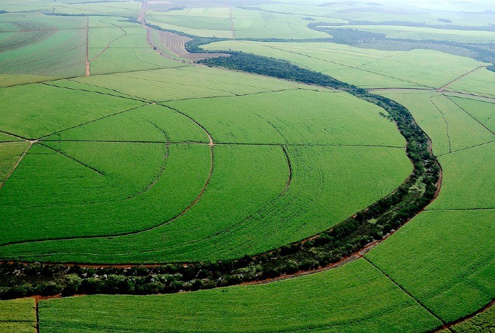 Inteligência artificial é solução para o manejo 4.0 de canaviais do Brasil