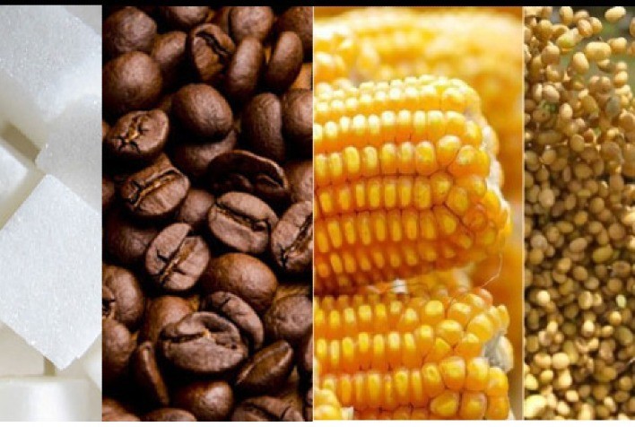 Estão disponíveis as agromensais de SETEMBRO/2020 do Cepea