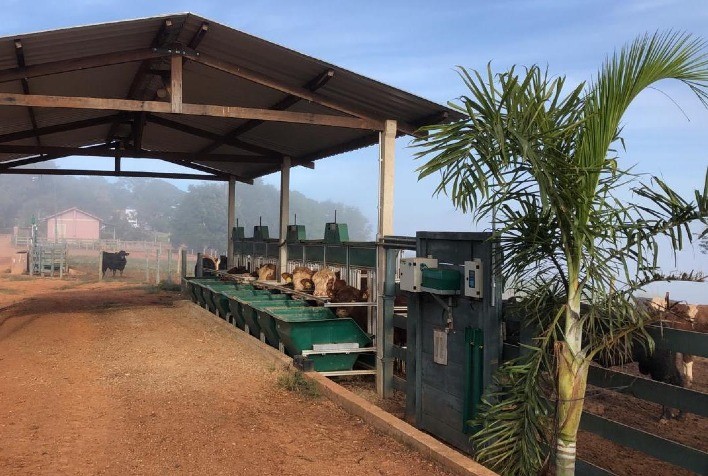 Eficiência alimentar aliada à ultrassonografia das carcaças são as novidades da 11ª Prova de Desempenho de Touros da Casa Branca