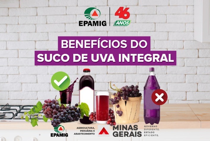Novo vídeo de Série da EPAMIG destaca benefícios do consumo de suco de uva