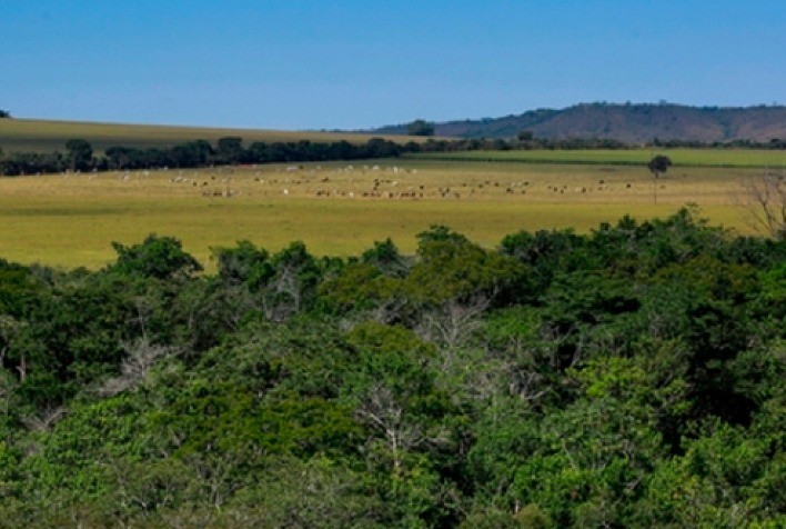 SRB defende novo código florestal em mais uma ação nos tribunais superiores