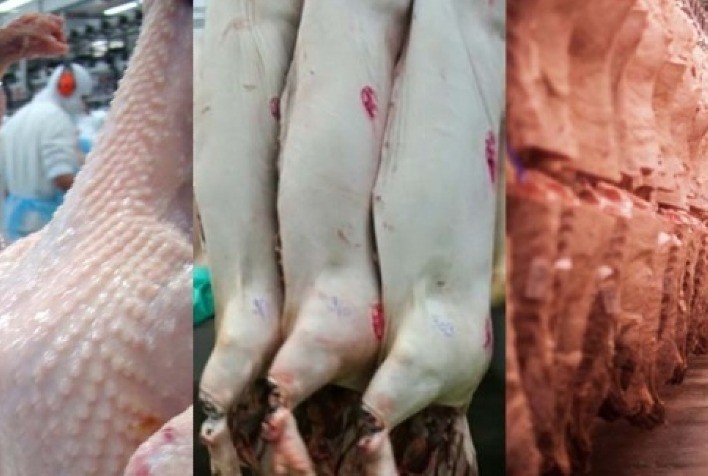 Vendas de carnes devem passar de US$ 8bi