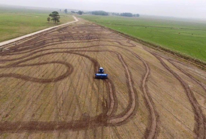 Semeadura do arroz no RS alcança 45,25%