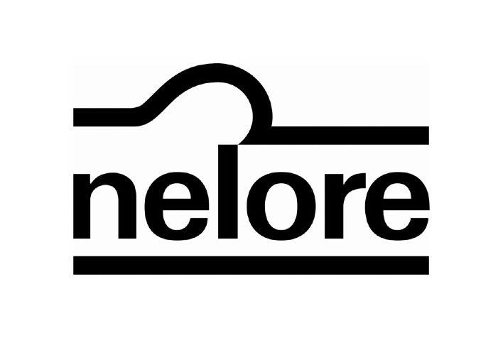 Associação dos Criadores de Nelore do Brasil cria Conselho Consultivo Técnico para impulsionar evolução da raça no país