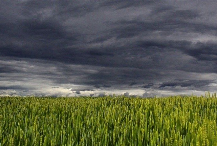 Chuvas no interior de Minas trazem otimismo para produtores rurais