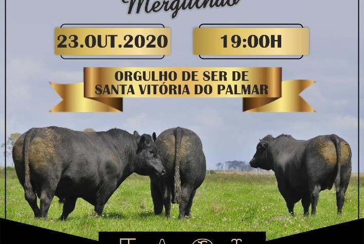 Propriedades de Santa Vitória do Palmar ofertam genética de ponta em remate