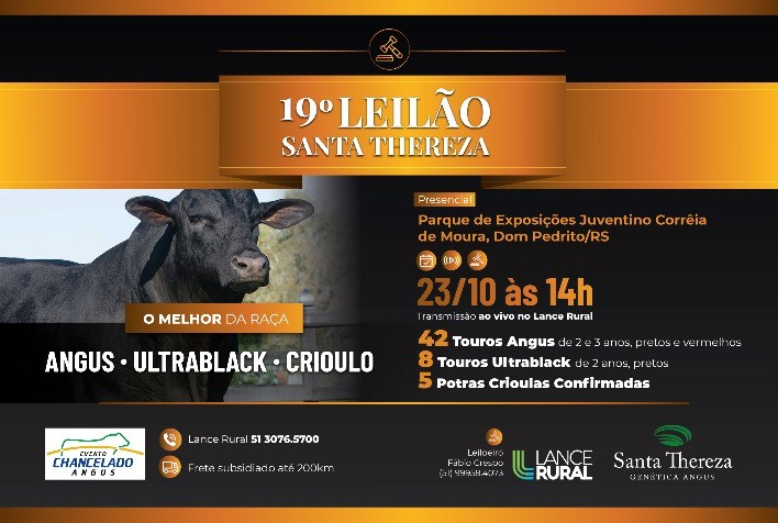 Touro top da raça Ultrablack será destaque em leilão da Santa Thereza