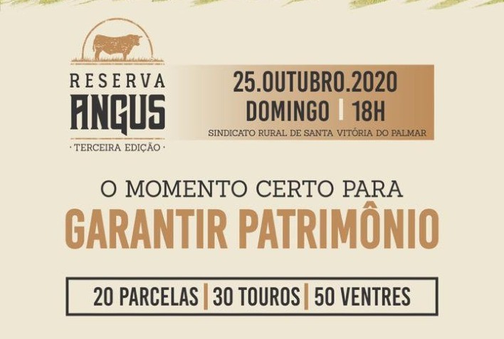 Reserva Angus fará oferta de Touros Jovens Superiores do Promebo