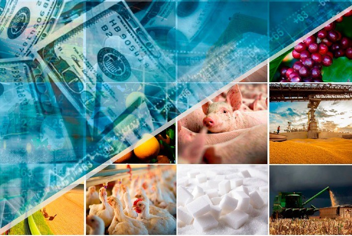 Agroindústria tem 4° mês consecutivo de alta na comparação mensal