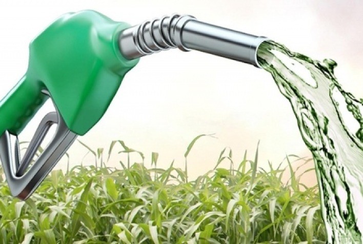 Cana-de-açucar pode impulsionar indústria de etanol 2G em Alagoas