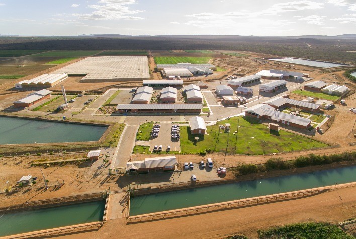 Bayer celebra 10 anos em Petrolina e fortalece mercado brasileiro de milho