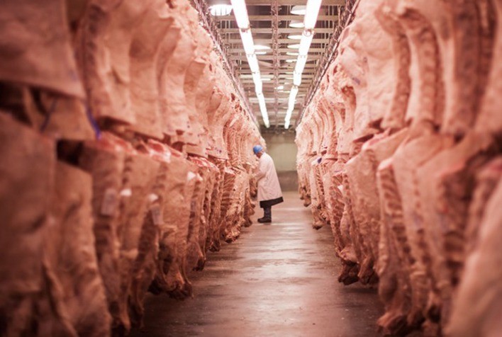 Exportação de carne bovina atinge 130,604 mil toneladas em outubro – Secex