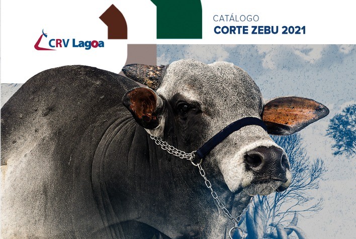 Em cenário positivo da pecuária brasileira, CRV Lagoa lança Catálogo Corte Zebu 2021