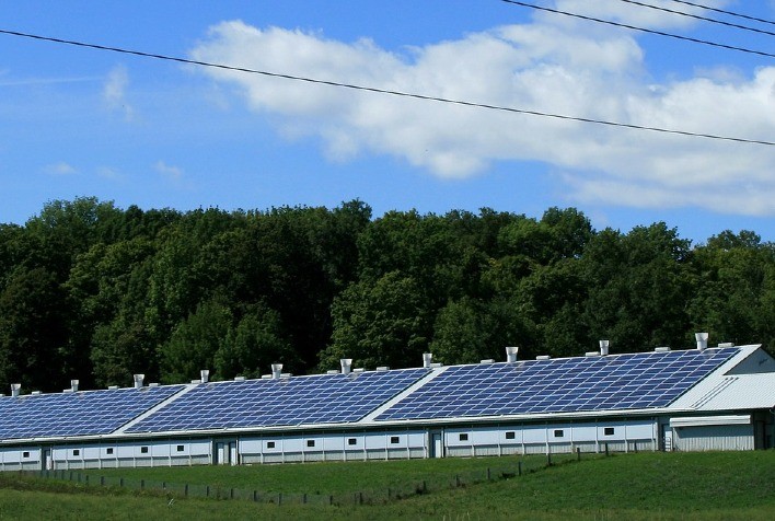 Agronegócio aposta em energia solar para reduzir custos