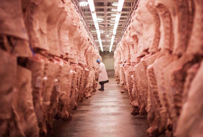 Exportações totais de carne bovina caem 4% em outubro, mas no acumulado do ano o crescimento é de 9%