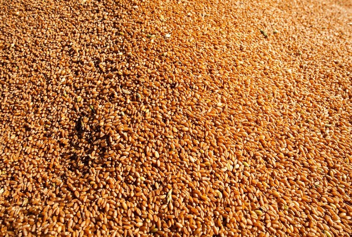 Consumo de trigo no Brasil deve bater recorde de 12 milhões de toneladas em 2020