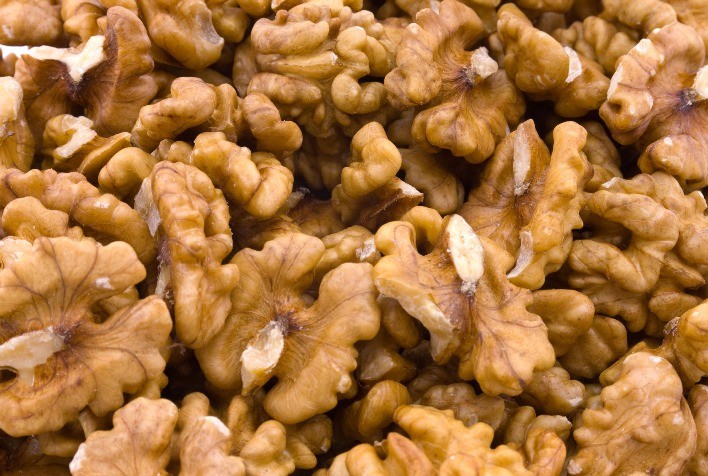 Novas estrelas do agronegócio brasileiro