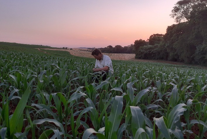Agrotech leva algoritmos a pequenas propriedades para expandir produtividade em pelo menos 15%