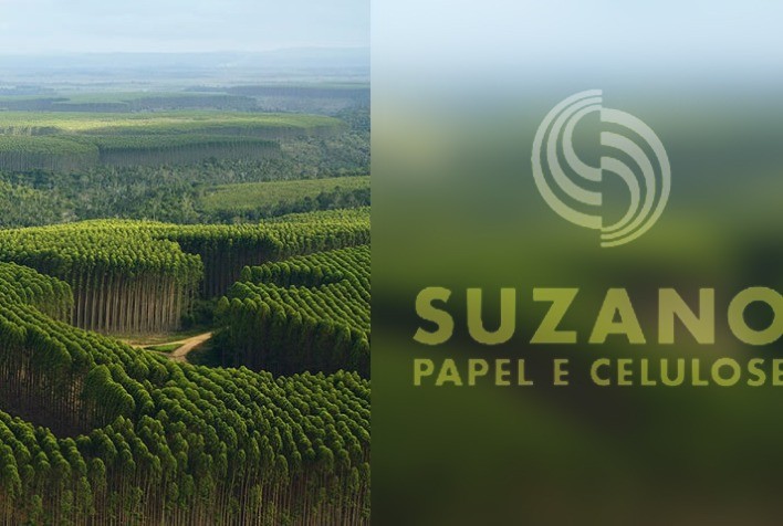 Suzano vende terras e florestas em SP para Bracell por R$1 bi