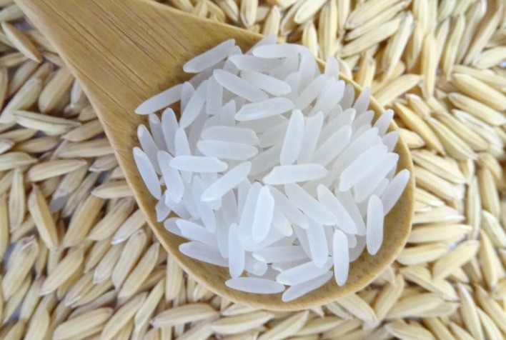 BRS A502: nova cultivar de arroz da Embrapa traz de volta regiões de sequeiro ao circuito produtivo da cultura