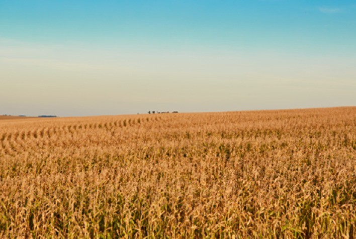Estação de Pesquisa da BASF em Santo Antônio de Posse celebra 40 anos!