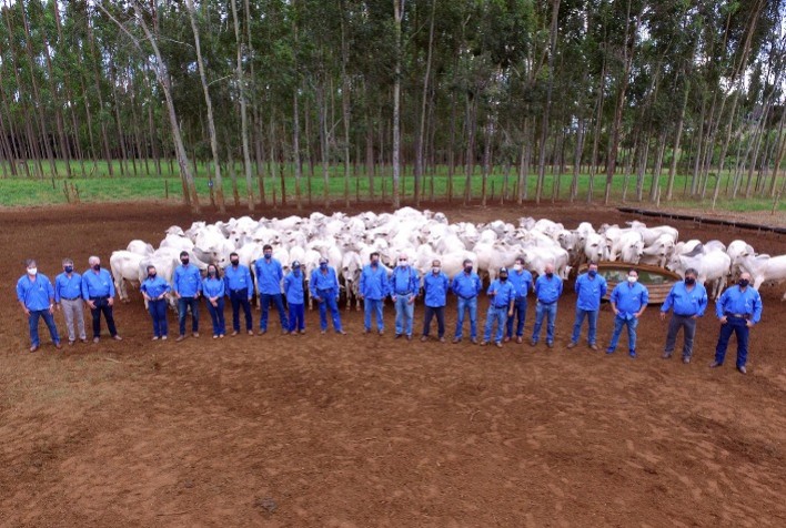 Em apenas 140 dias, bovinos suplementados com produtos Premix tiveram evolução corporal de 38,2%