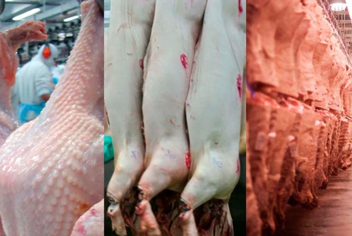 Desempenho exportador das carnes em novembro de 2020