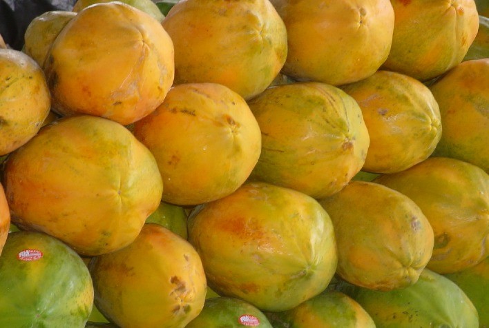 Hortifruti: Especial Frutas 2020 - Mamão