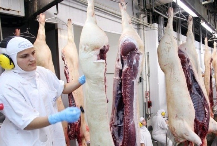 Suínos: exportações seguem aumentando, mas preços recuam no Brasil
