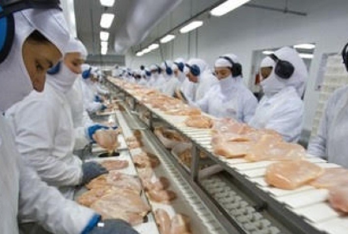 Segundo a FAO, aumento de preço das carnes em novembro só não alcançou a carne de frango