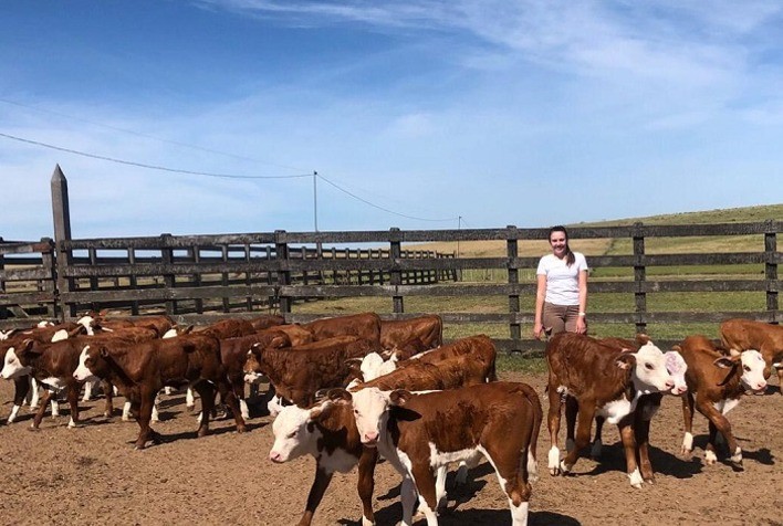 Registro Genealógico encerra o ciclo de auditorias técnicas de 2020