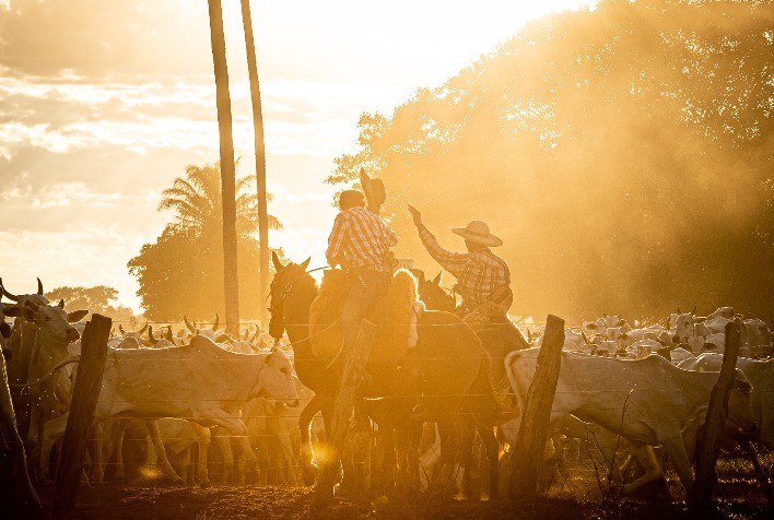 Pecuaristas do Pantanal recebem conhecimento técnico da Trouw Nutrition em parceria com o WWF- Brasil para produzir mais, sem abertura de novas áreas