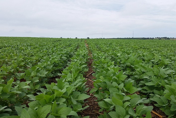Preocupados com clima, produtores veem incertezas na safra em MT