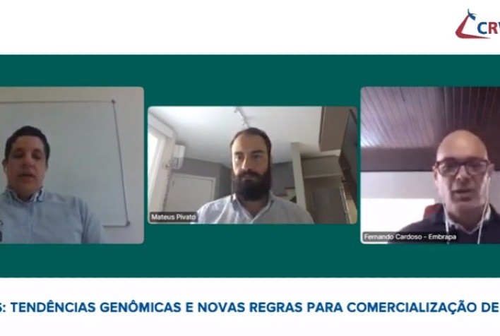 Solução de controle biológico combate 100% das infestações de carrapatos em criações de produtores de Angus no RS