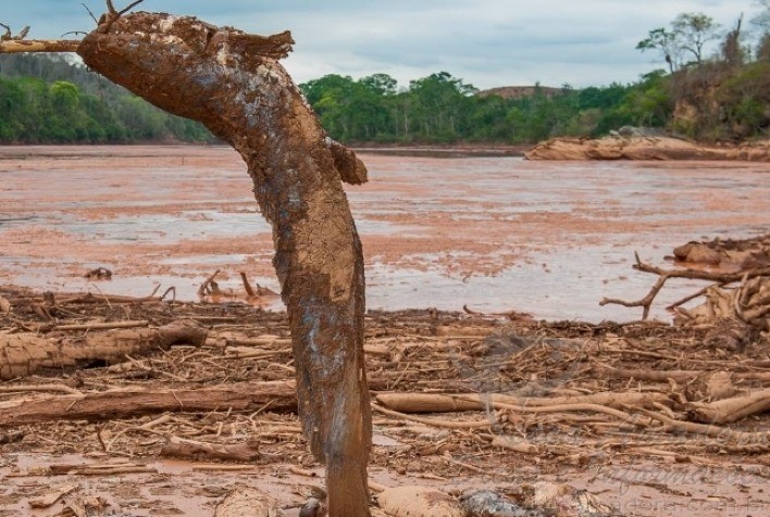 Restauração na parte mineira da Bacia do Rio Doce pode dobrar PIB agropecuário na região