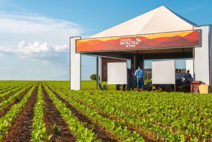 Agroeste apresenta variedades de soja com tecnologia Intacta 2 Xtend®