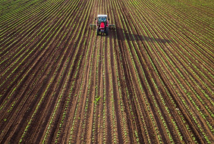 Plantio de soja vai a 95% no Brasil; chuvas melhoram