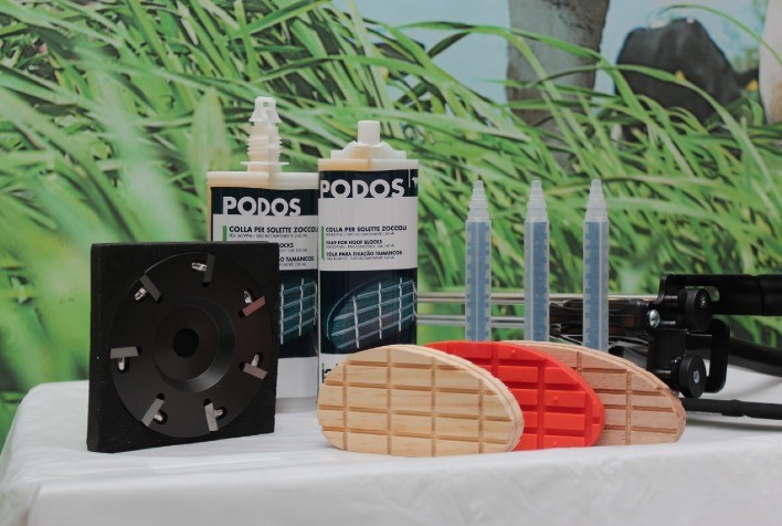 Gado: Prevenção é melhor alternativa para podologia saudável dos animais