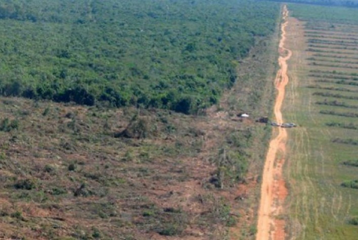 Revisão da meta climática brasileira deveria seguir o protagonismo histórico do Brasil