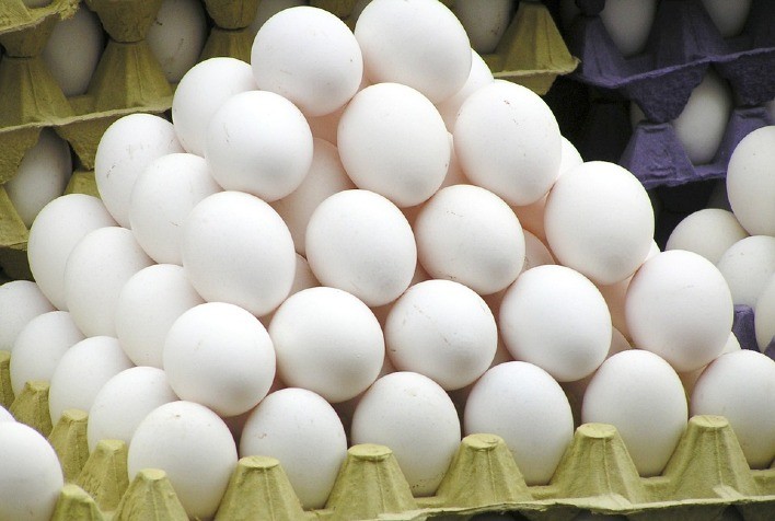 Produção de ovos tem 9,1% de crescimento em 2020 e projeção de 5% para 2021