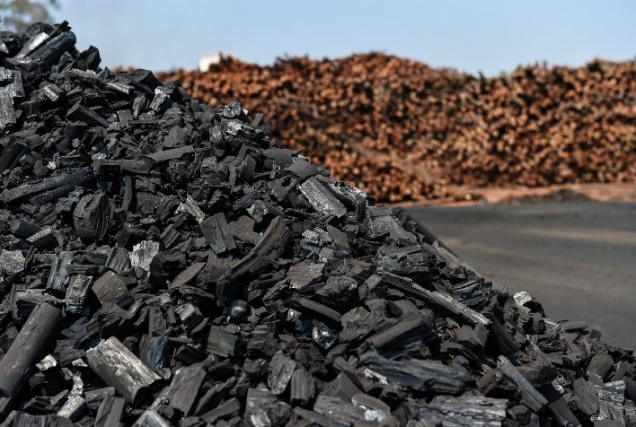 Carvão vegetal de origem legal é importante aliado na redução da emissão de carbono