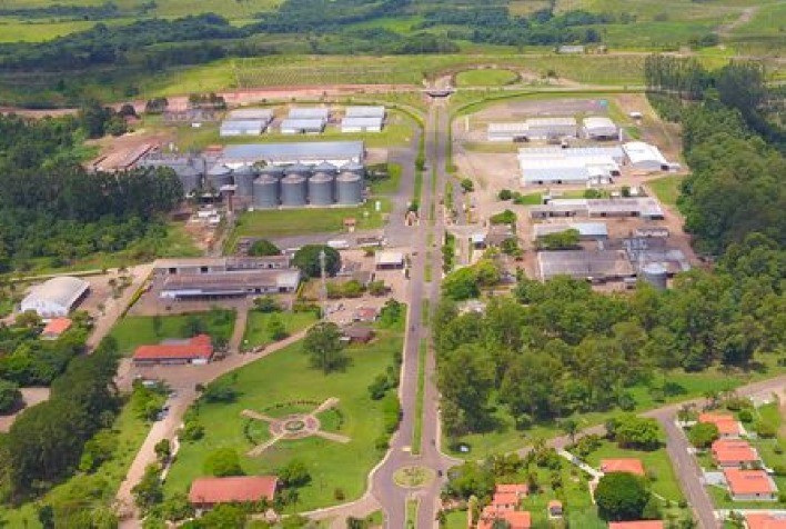 Cooperativa Holambra cresce 25% em 2020 e prevê avanço de 30% em 2021