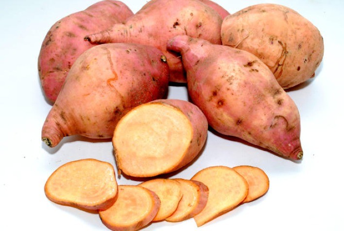 Difusão da batata-doce biofortificada BRS Amélia é reconhecida em concurso internacional