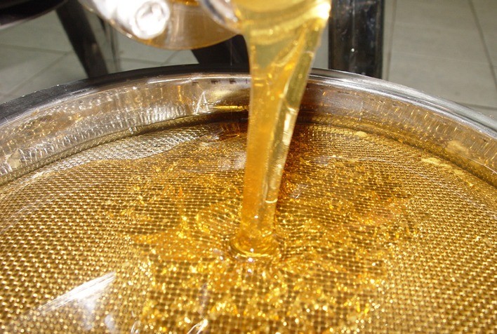 PARANÁ – Produtores de mel e banana recebem preços recordes no fim de ano