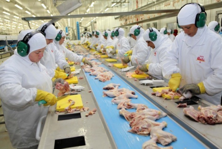 Preço médio da carne de frango em 2020 sofreu recuo anual de 10%, aponta FAO