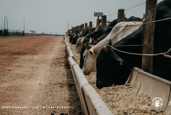 Com apoio da UPL, Confina Brasil mapeia 1,5 milhão de bovinos confinados em cinco estados