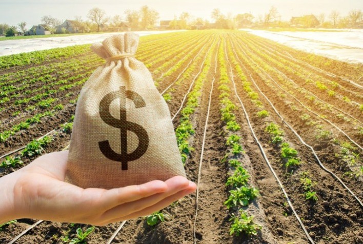 Crédito rural é solução viável durante a pandemia